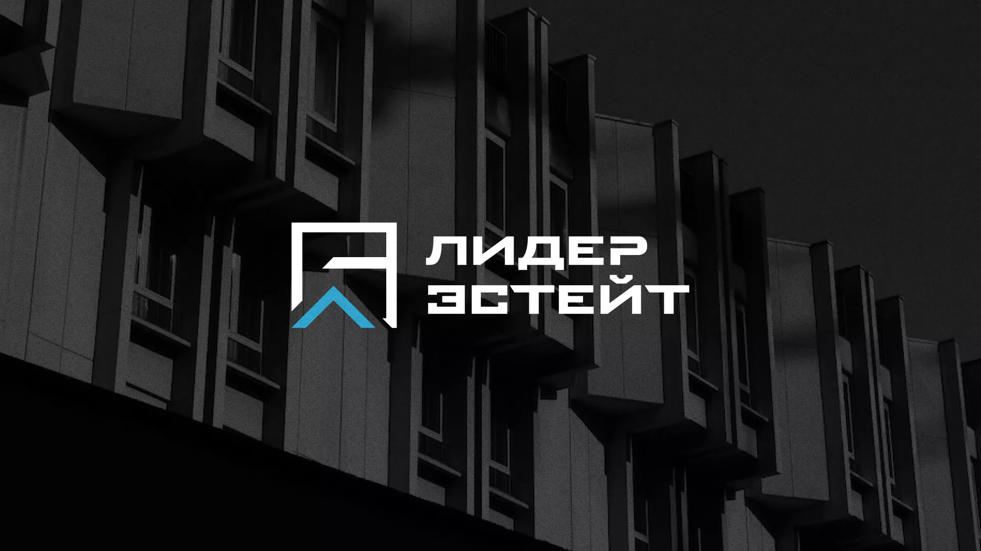 Разработка логотипа агентства недвижимости «Лидер Эстейт» в Балашове