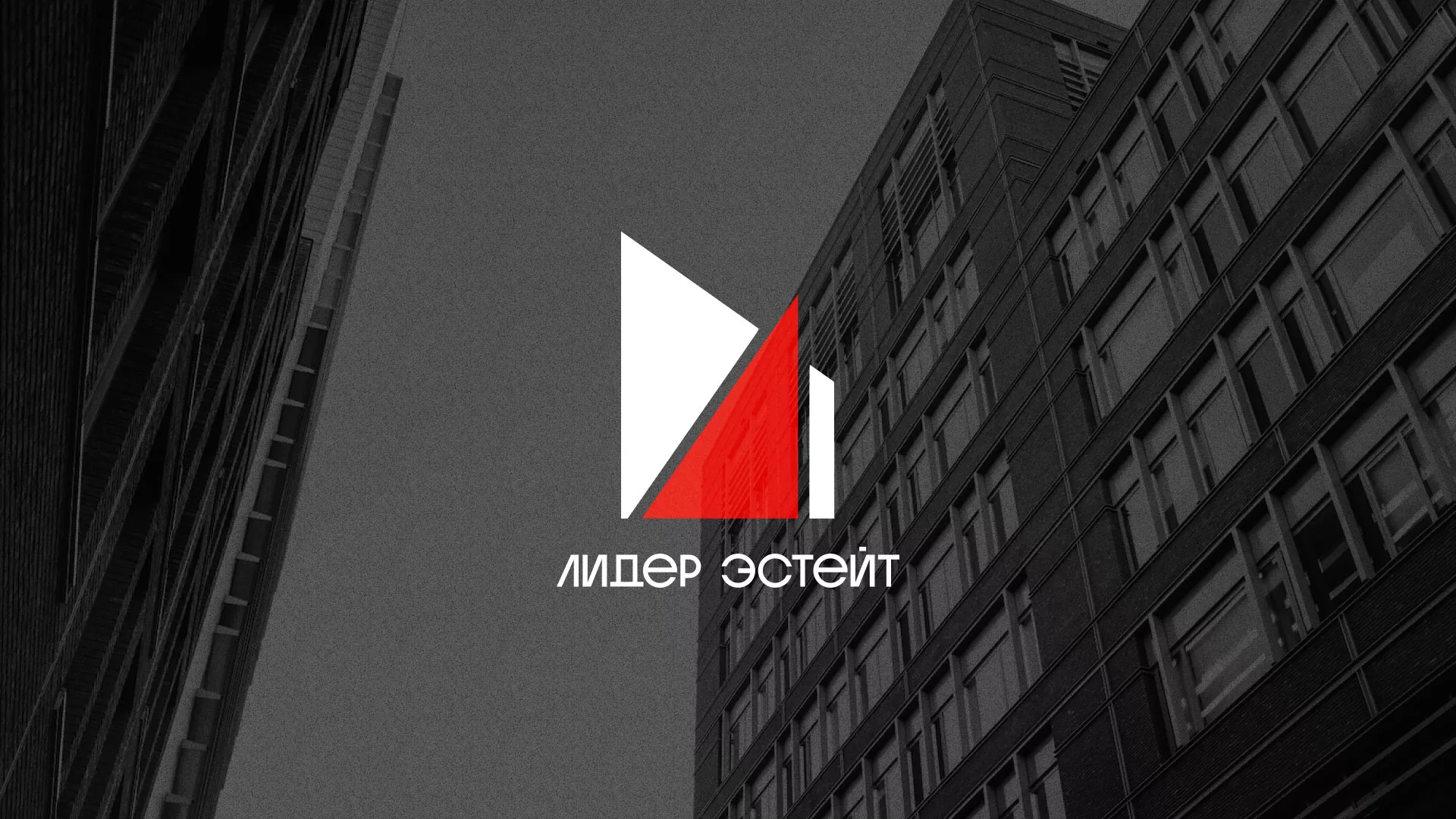 Сделали логотип для агентства недвижимости «Лидер Эстейт» в Балашове